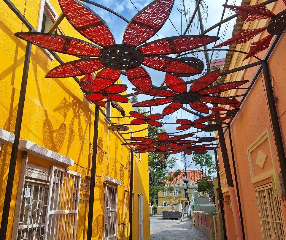 Landhuis Bona Vista主图