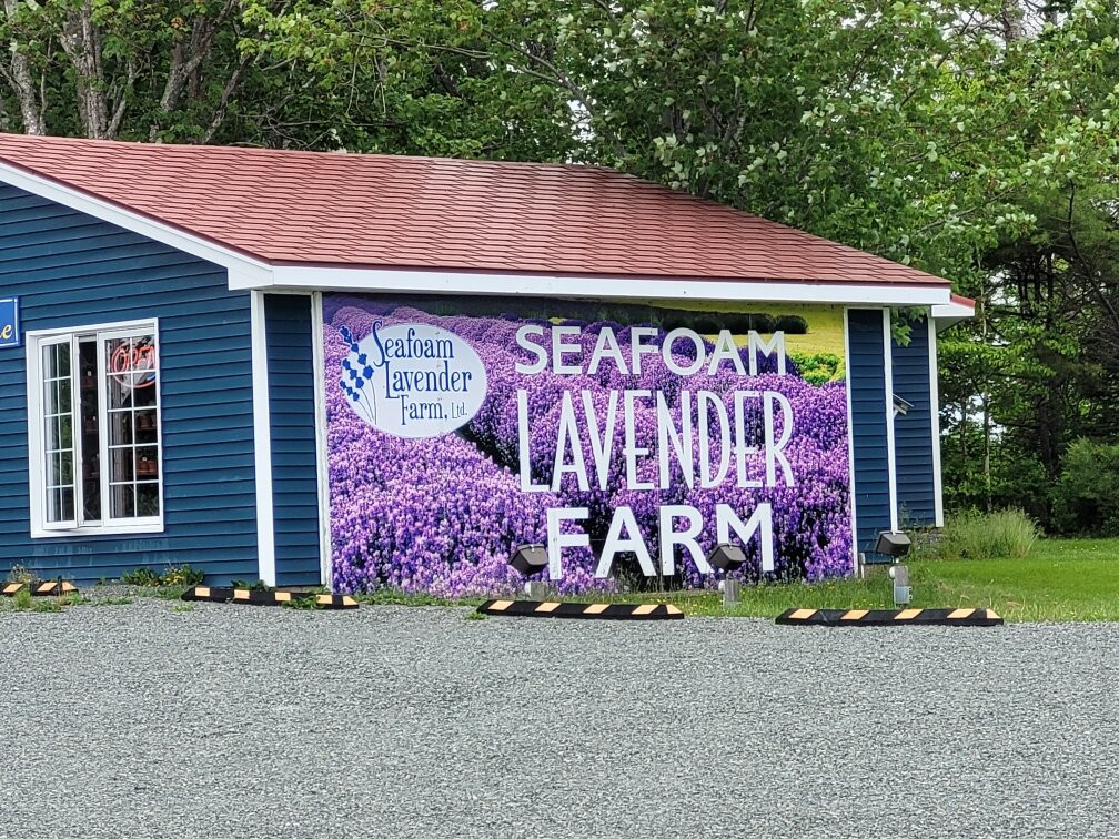 Seafoam Lavender Company and Gardens-Seafoam必去景点