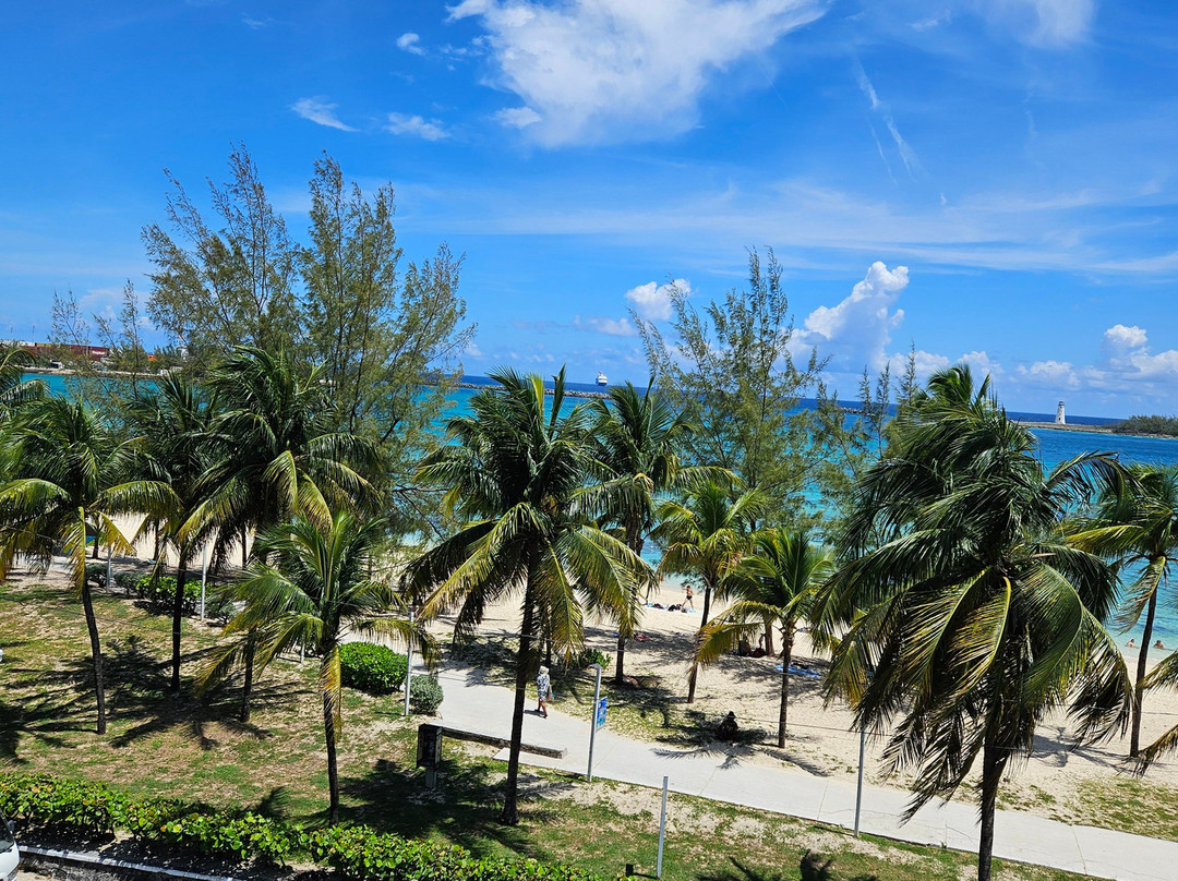 Courtyard by Marriott Nassau Downtown/Junkanoo Beach主图