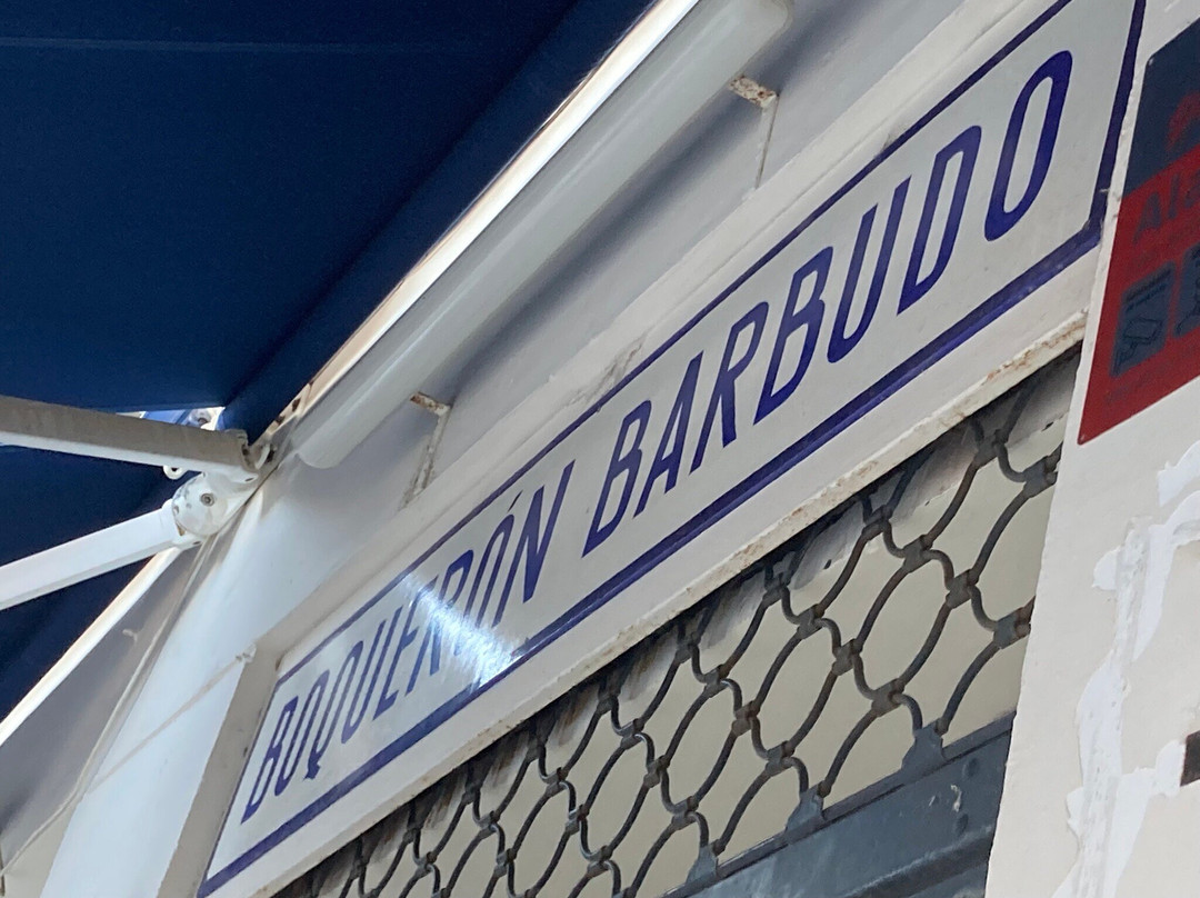 Boquerón Barbudo
