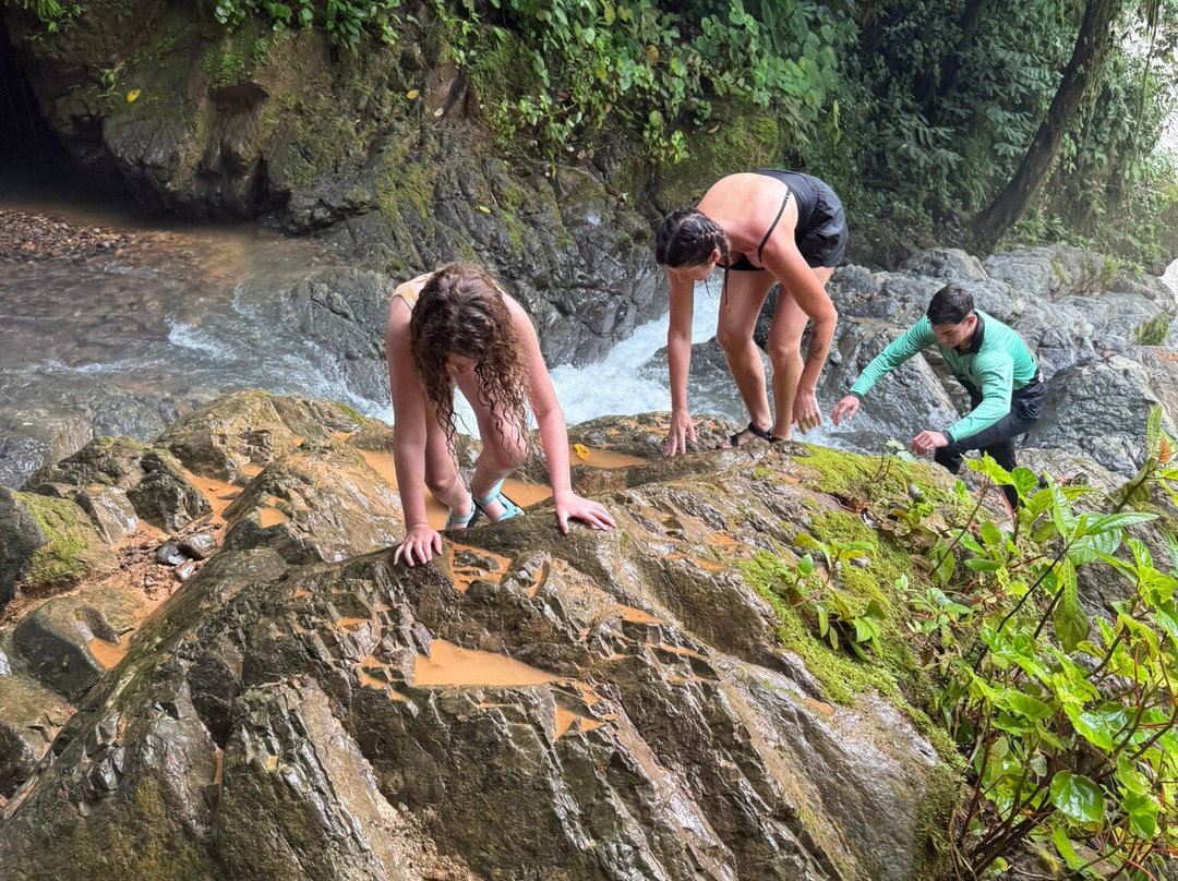 Brisas del Nara-哥斯达黎加安东尼奥国家公园必去景点