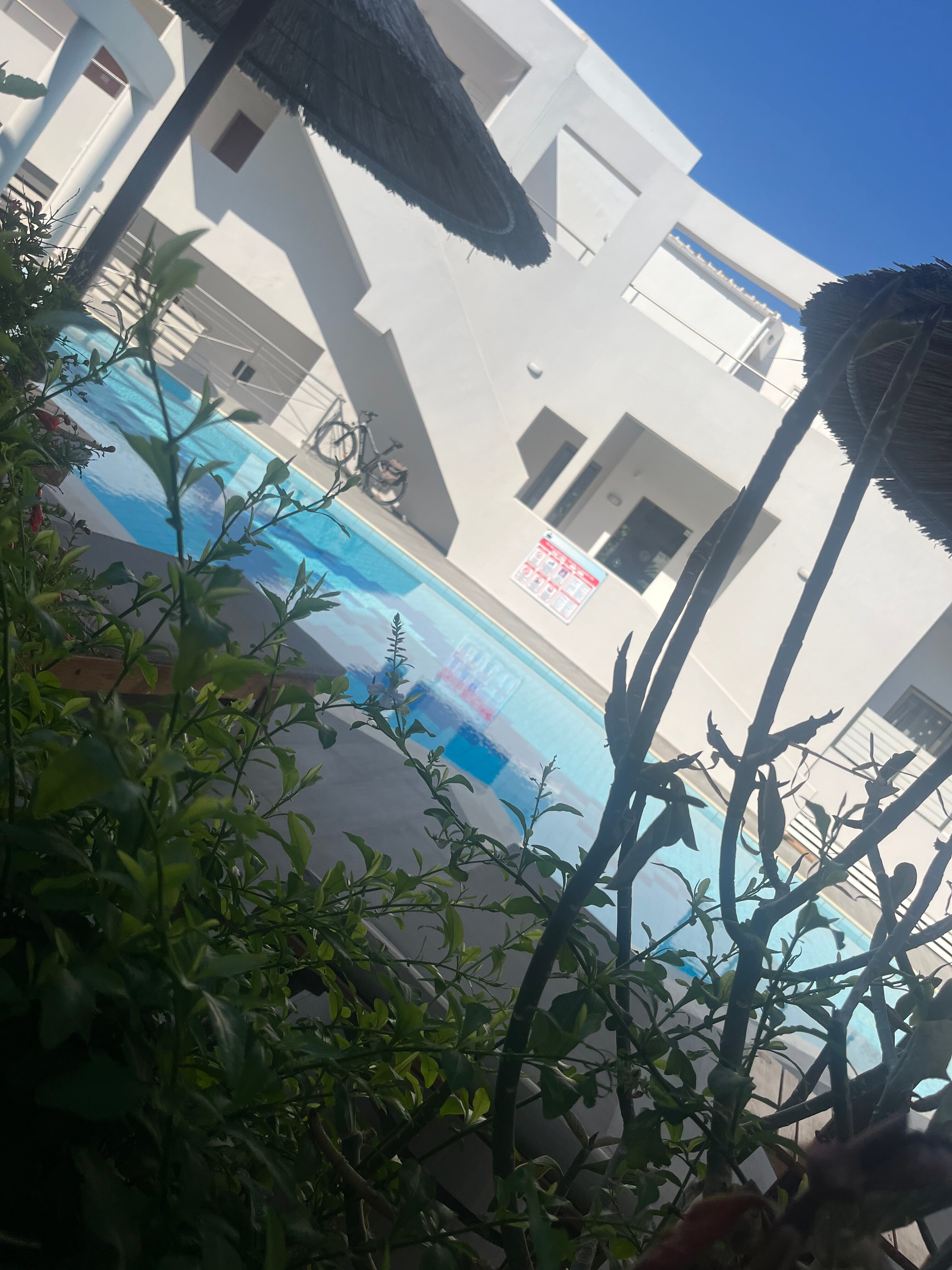 Delfina Boutique Hotel-官方