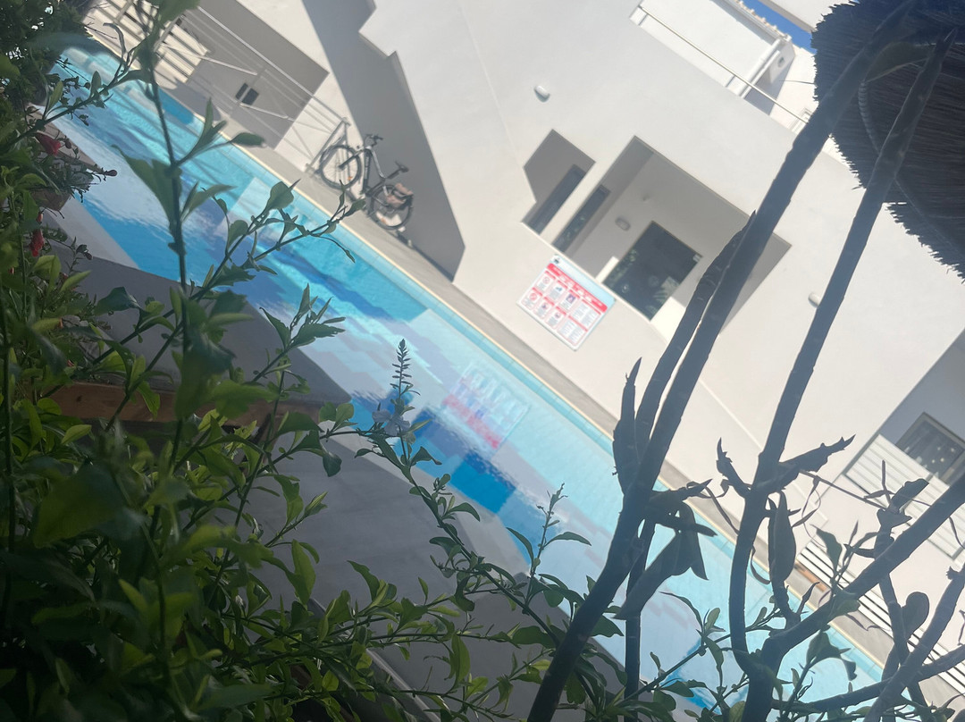 Delfina Boutique Hotel主图