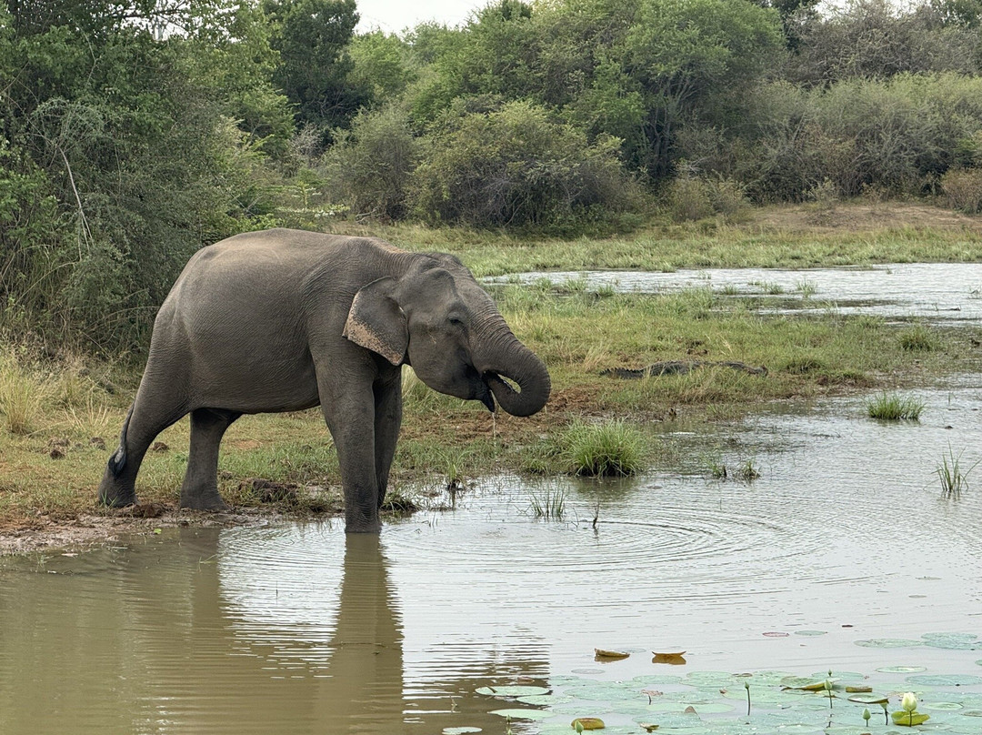UP Travels & Tours - Excursion-唐卡拉必去景点