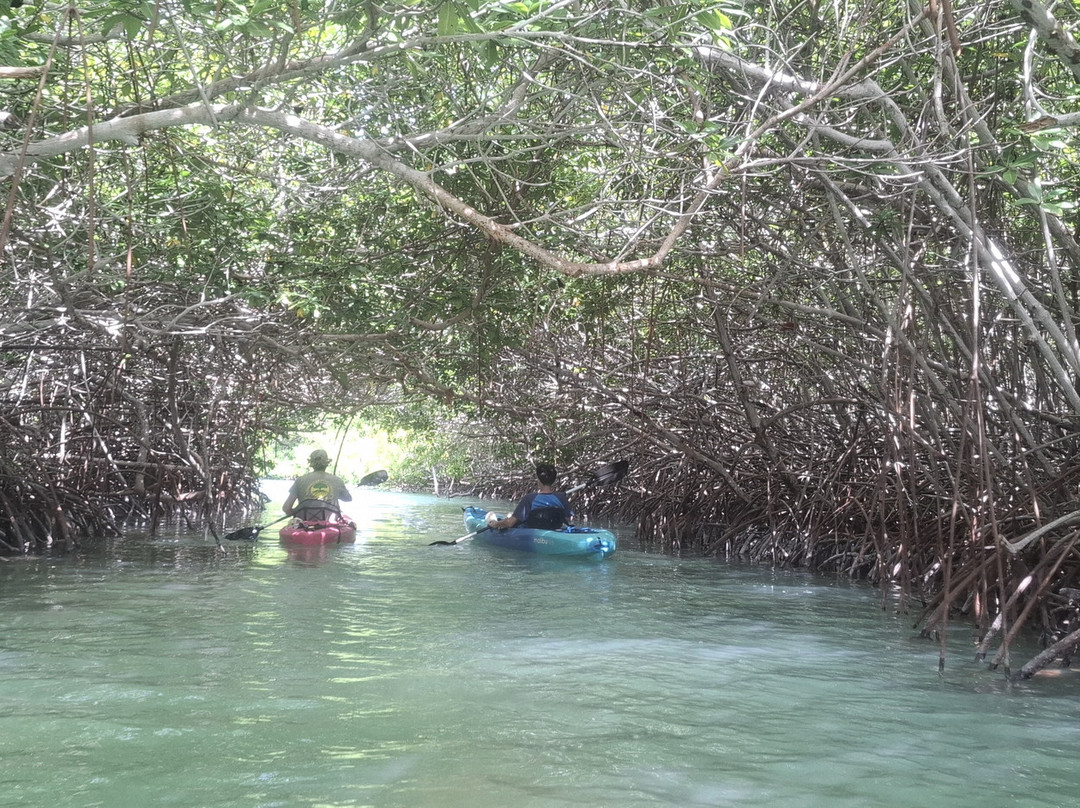 Mangrove Center-Kralendijk必去景点