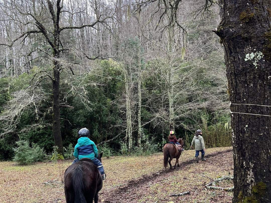 Alma Equina Pucon-普孔必去景点
