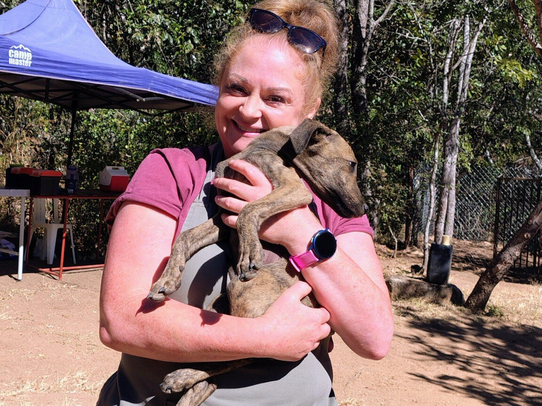 Twala Trust Animal Sanctuary-哈拉雷必去景点