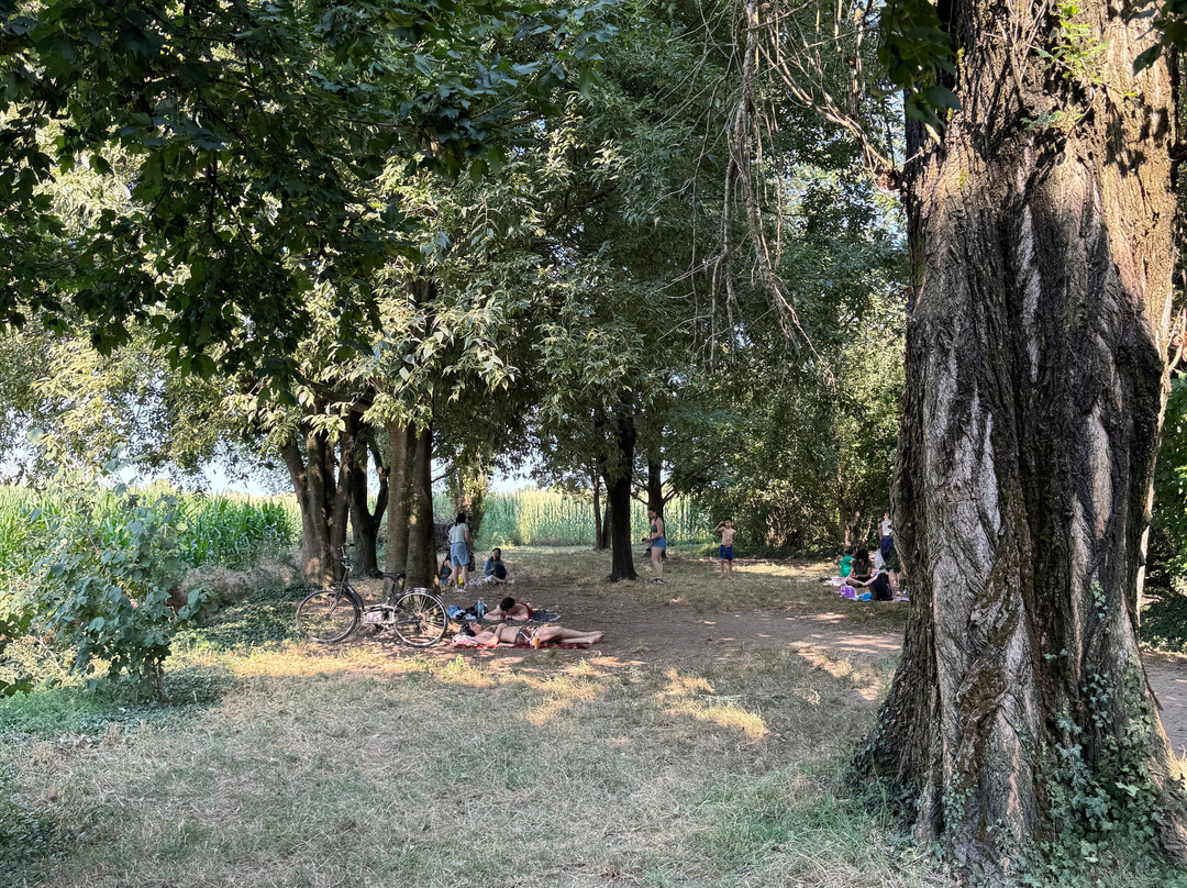 Fontanile Quarantina-Capralba必去景点