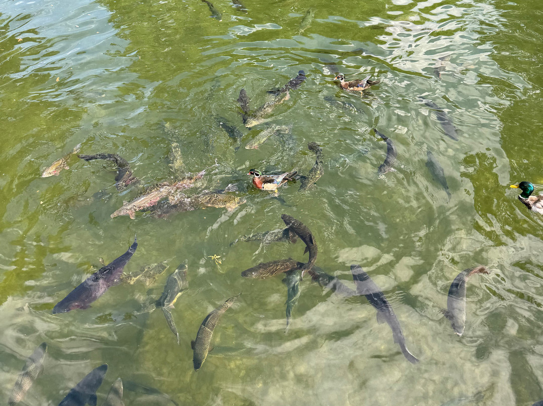 McNenny State Fish Hatchery-Spearfish必去景点