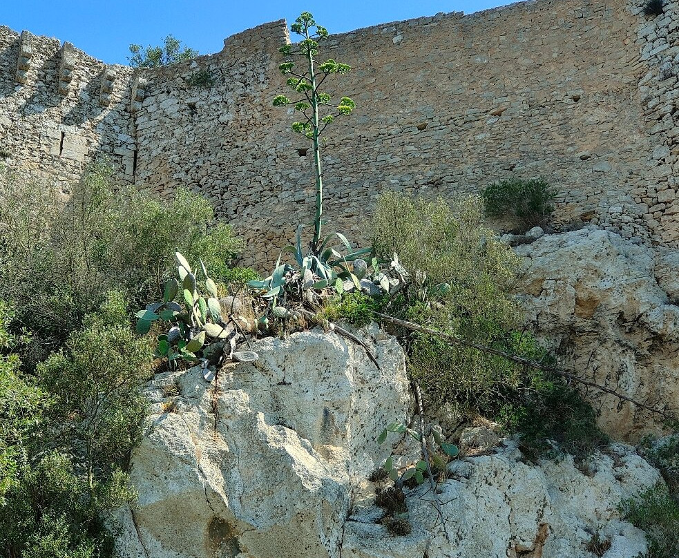 Castell de Santueri-Felanitx必去景点