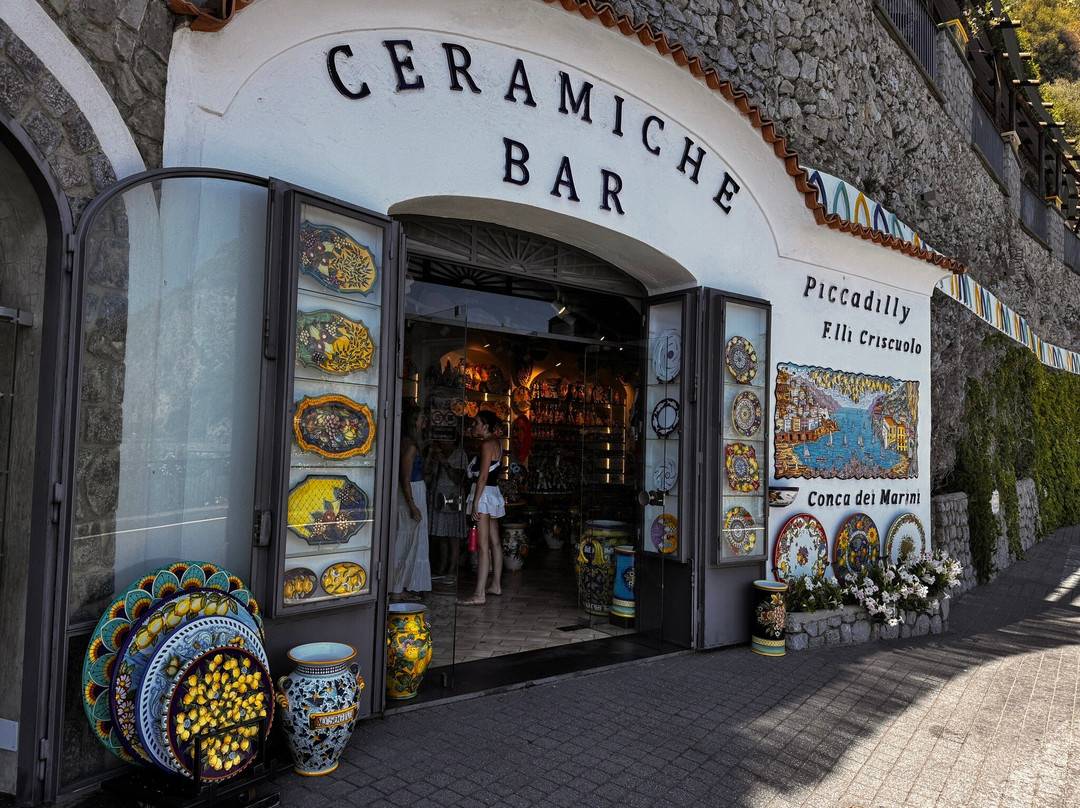 Piccadilly Ceramics-康加德马里尼必去景点