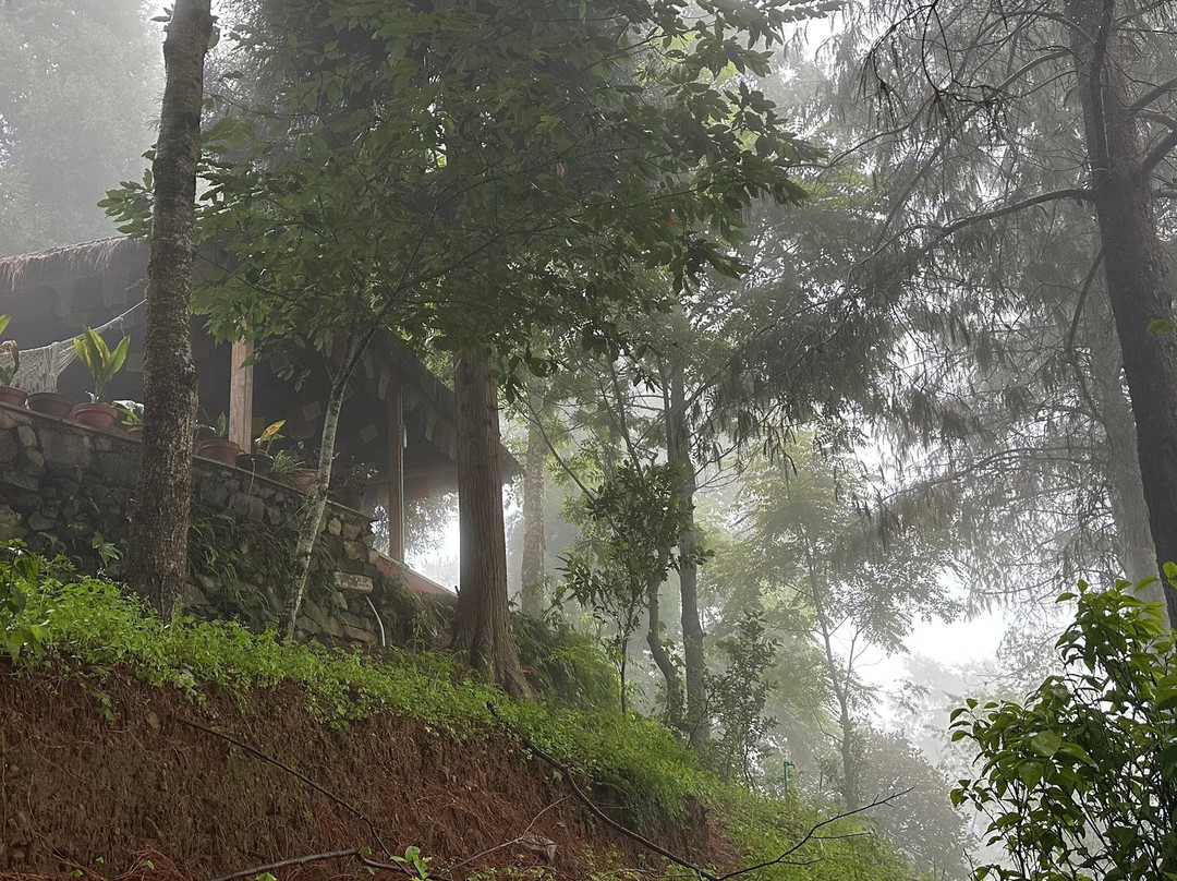 The Terraces Resort And Spa主图