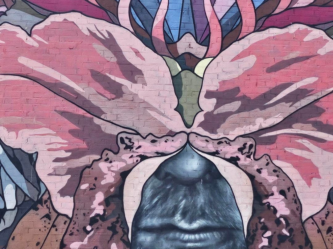 Blind Walls Gallery-布雷达必去景点