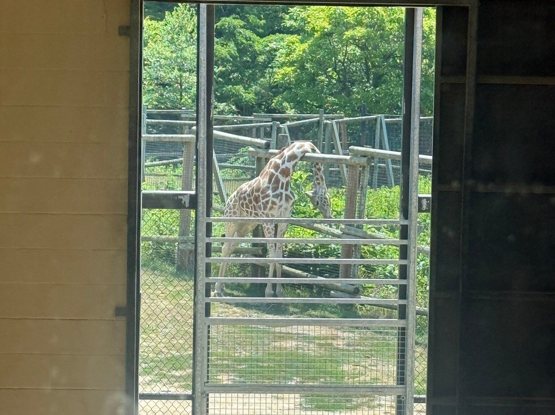 Peoria Zoo-皮奥里亚必去景点