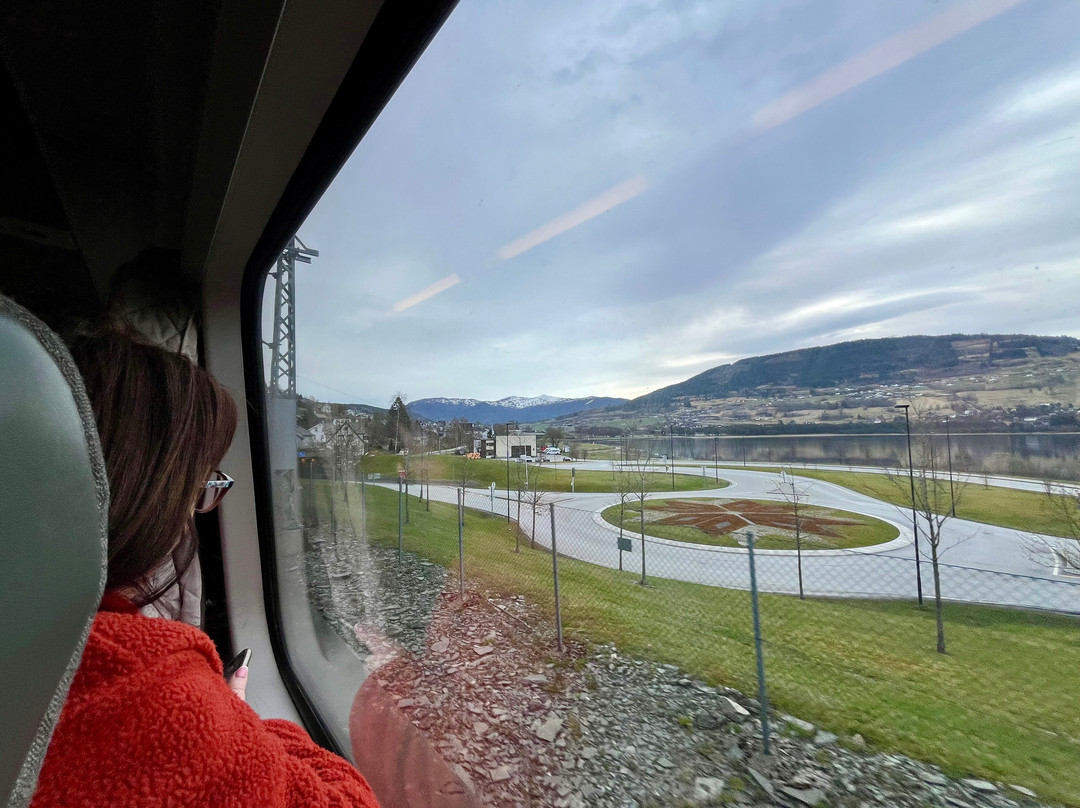 Bergen to Oslo Train Ride-卑尔根必去景点