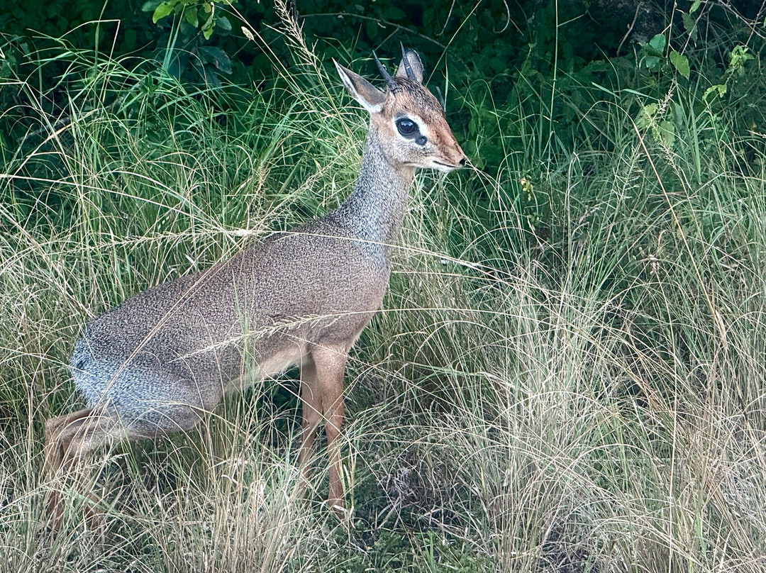 Twende Development and Travel-Eldoret必去景点