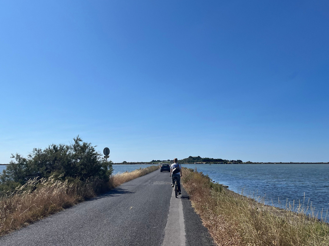 Chambres d'hôtes Le cortile主图