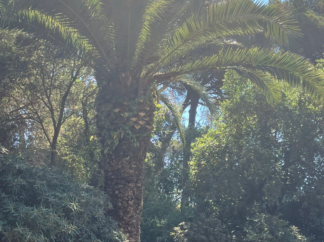 Parque Dalmau-卡莱利亚必去景点