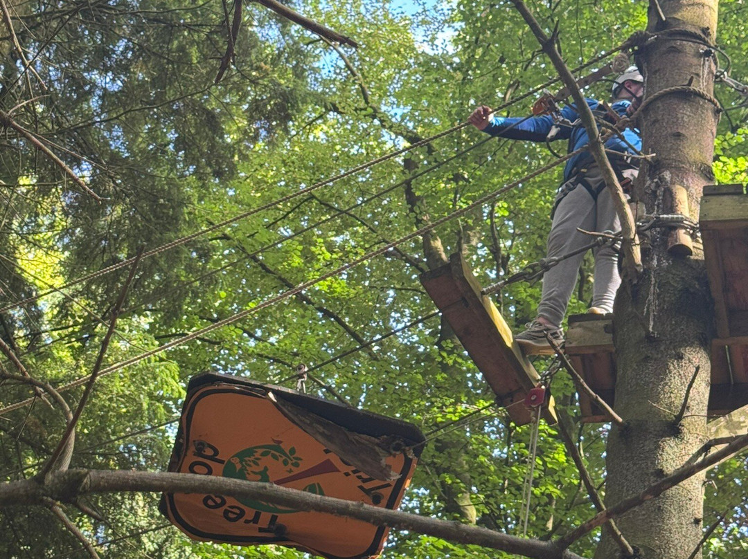 Craufurdland Tree Top Trials and Activities-Kilmarnock必去景点