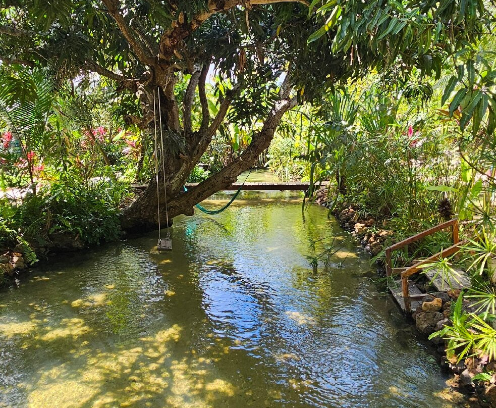 Recanto Pacheco-Rio do Fogo必去景点