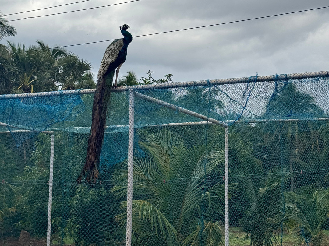 Thrill Park-Tenkasi必去景点