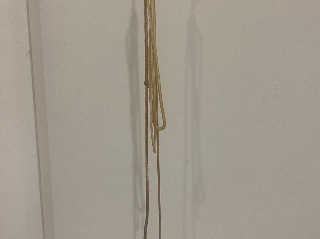 卡密欧酒店科普多克主图