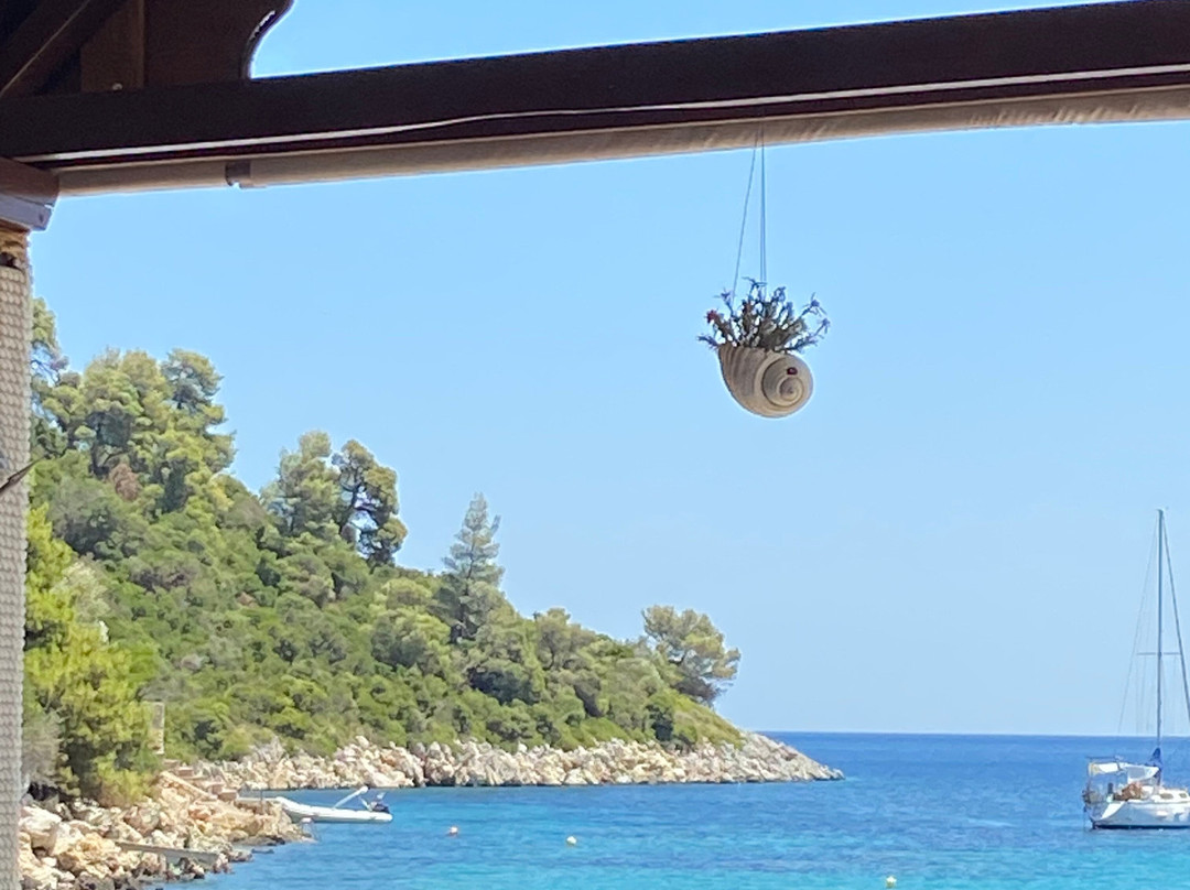 Atrium of Alonissos主图