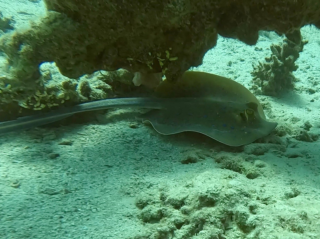 Extra Divers Makadi Bay-马卡迪湾必去景点