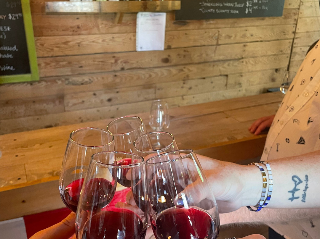 Black Prince Winery & Canadian Vinegar Cellars offering Wood-Fired Pizza & Disc Golf-皮克顿必去景点