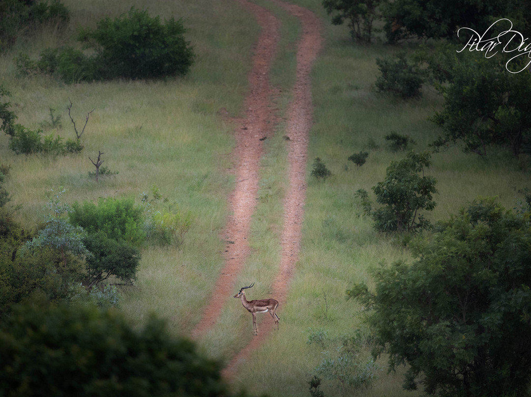 Bafazi Safari and Tours-雾观必去景点