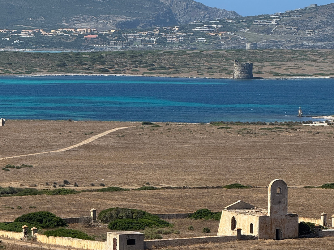 ScopriSardegna - Day Tour-Porto Torres必去景点