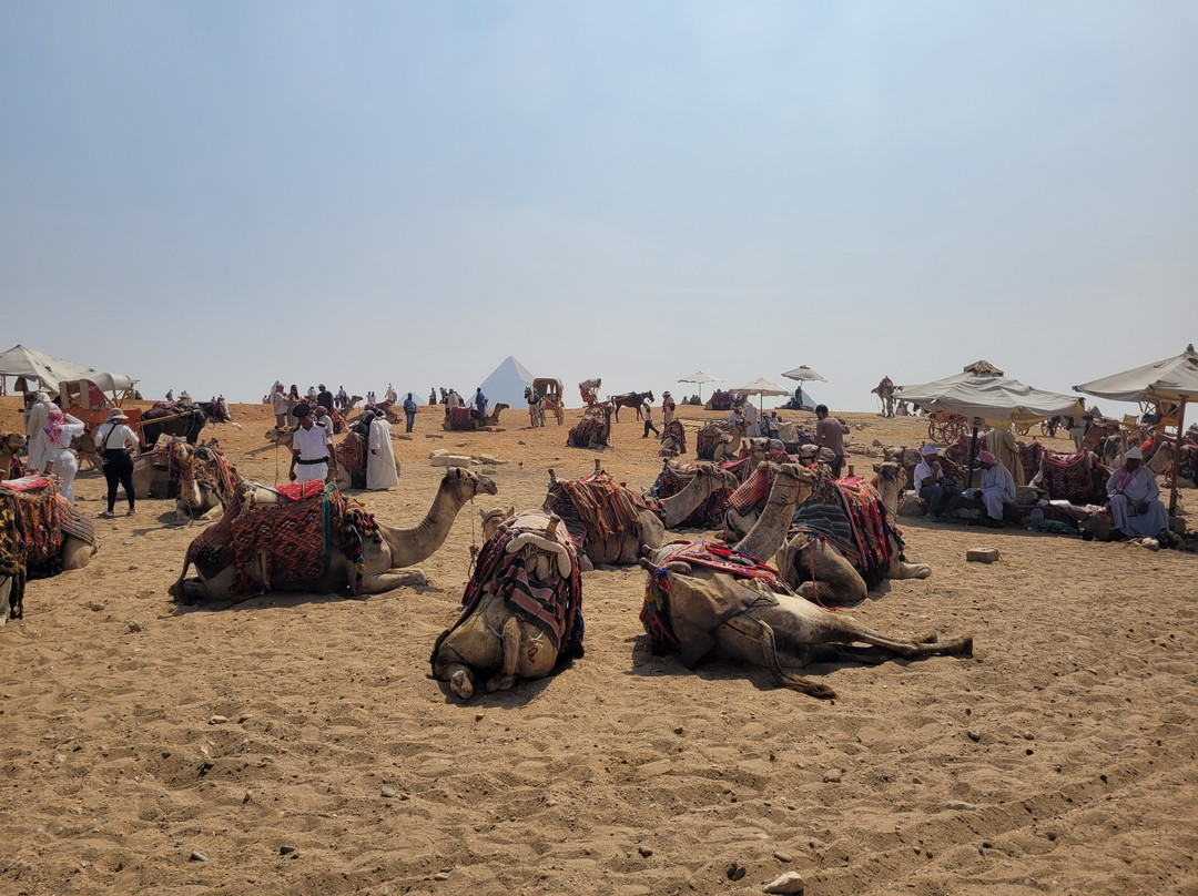 Isis Egipto Kemet Tours-开罗必去景点