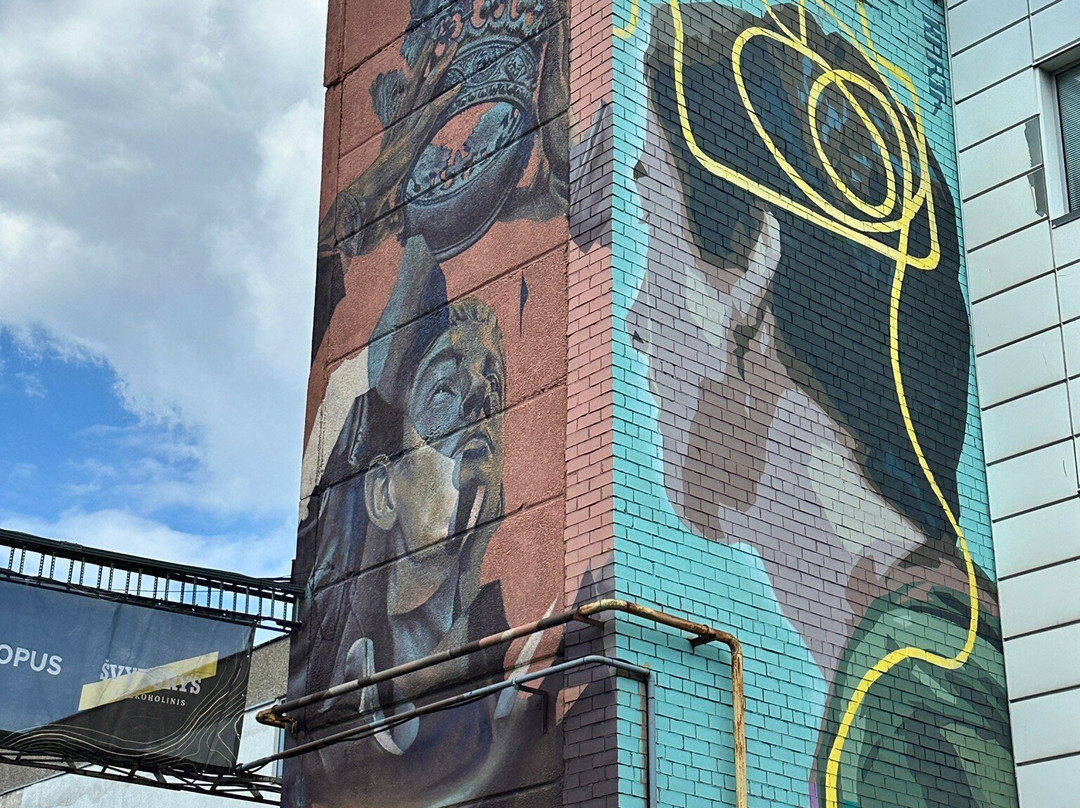Yellow Vilnius Free Walking Tour-维尔纽斯必去景点