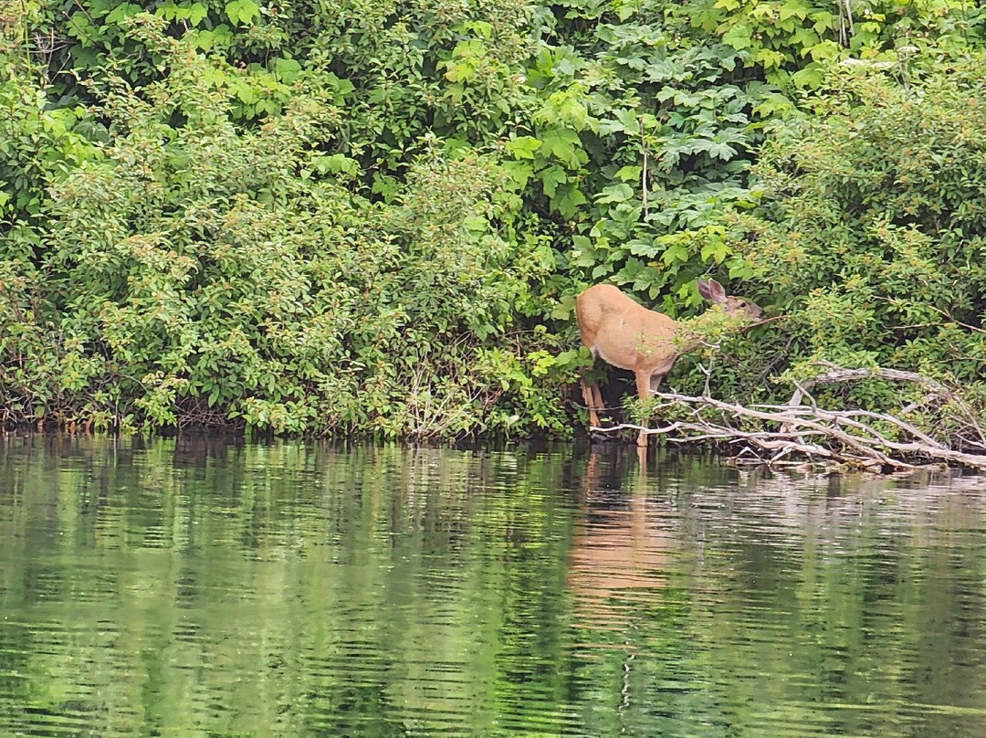 Hathaway Lake Resort