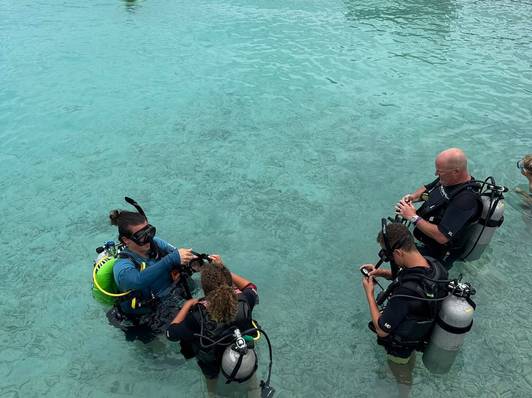 Coral Divers-威廉斯塔德必去景点