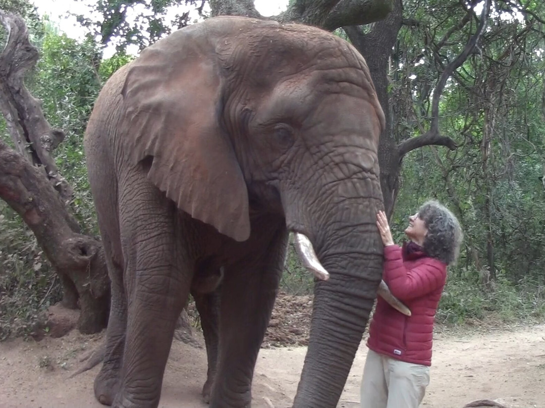 Dewander Safaris & Tourism-约翰内斯堡必去景点