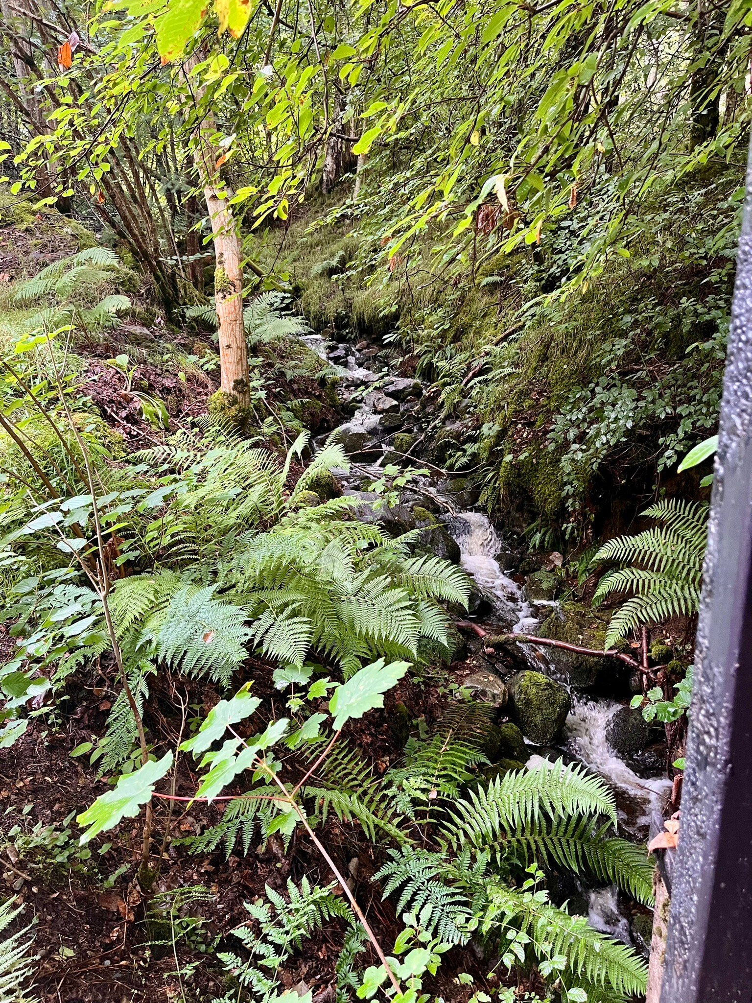 Highland Bear Lodge-官方