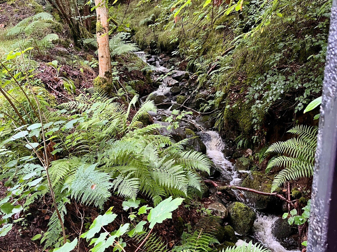 Highland Bear Lodge主图