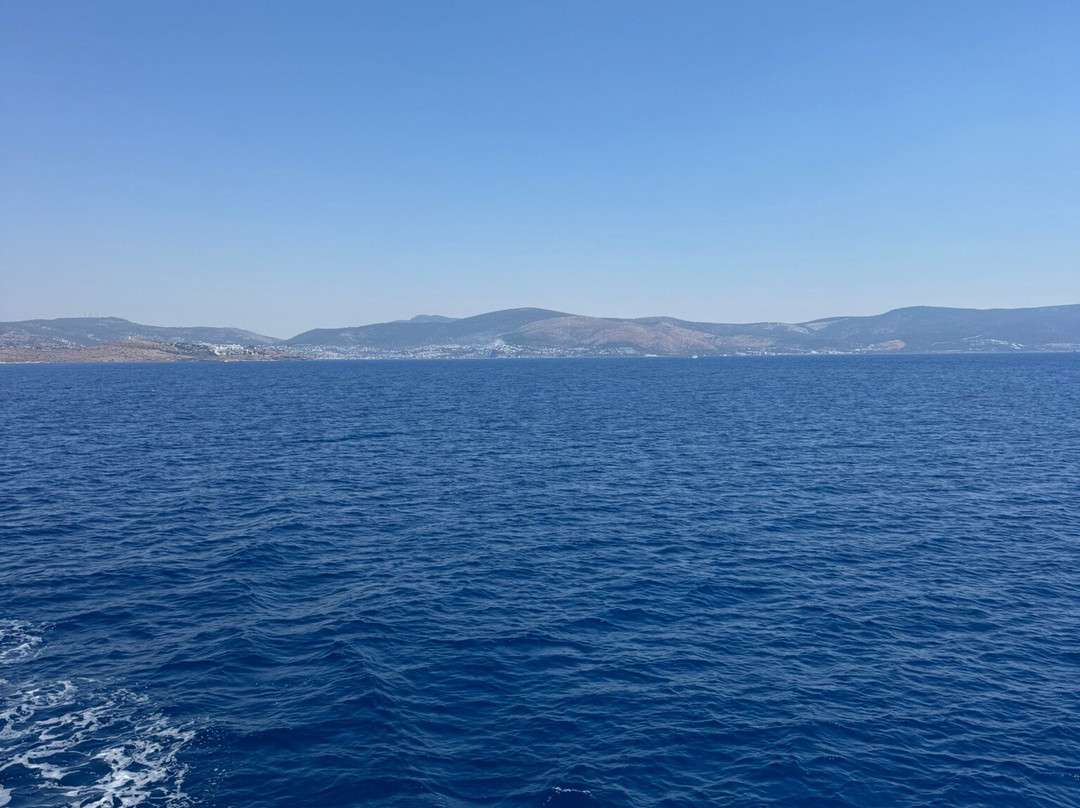 Outback Boat Trips-居姆贝特必去景点