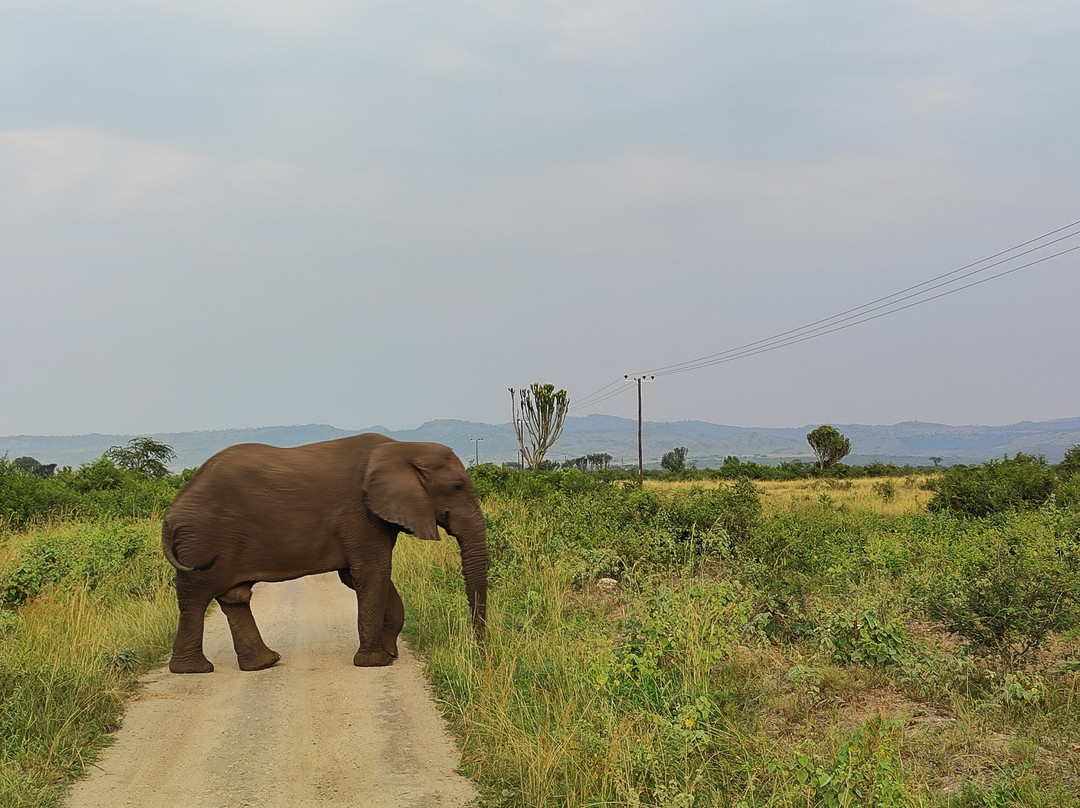 Trail Trek Africa-吉佳利必去景点