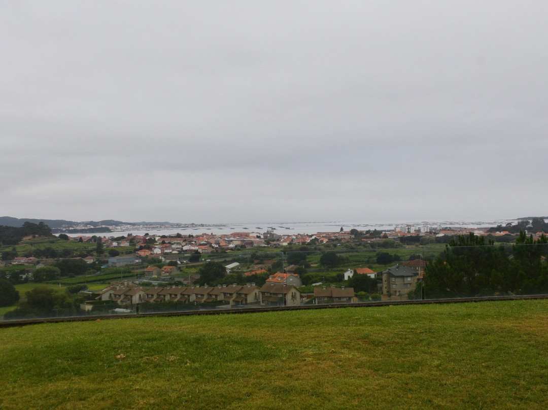 Bodegas Martin Codax-Cambados必去景点