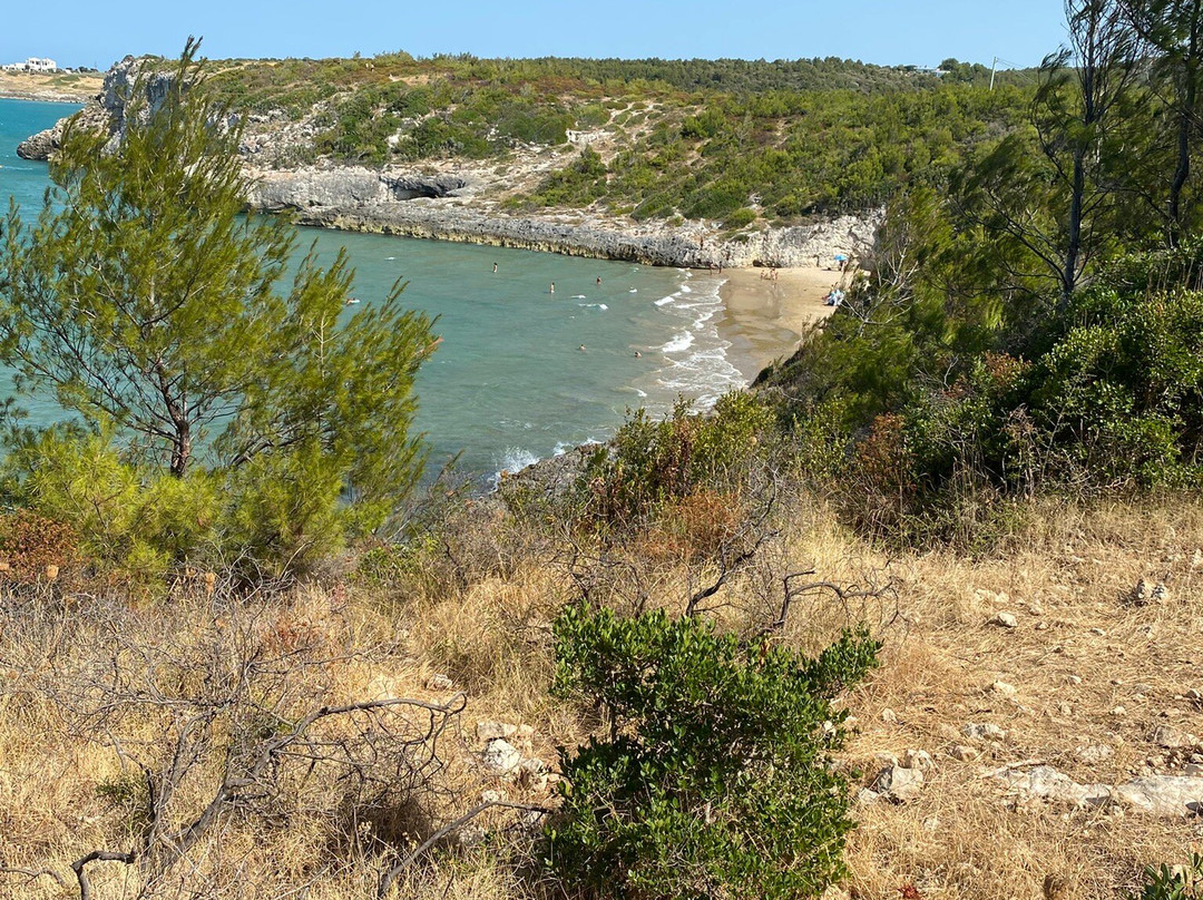 Baia del Turco-佩斯基奇必去景点