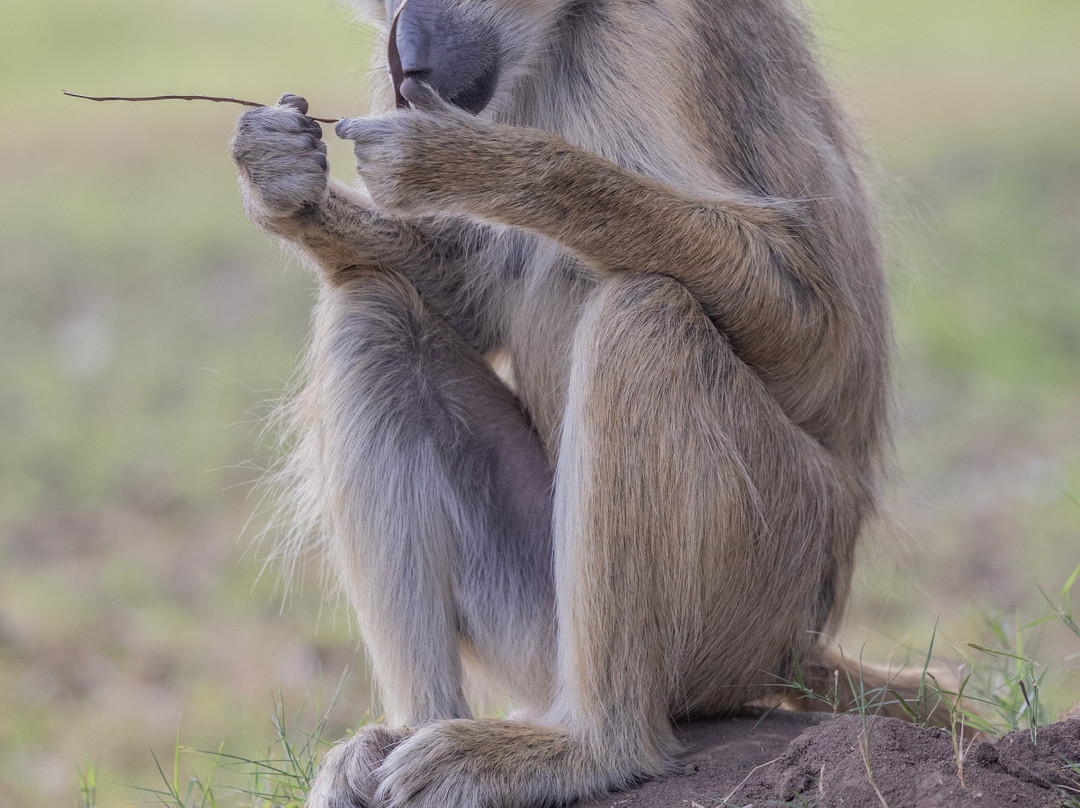Mchaka Mchaka Tours-Mloka必去景点