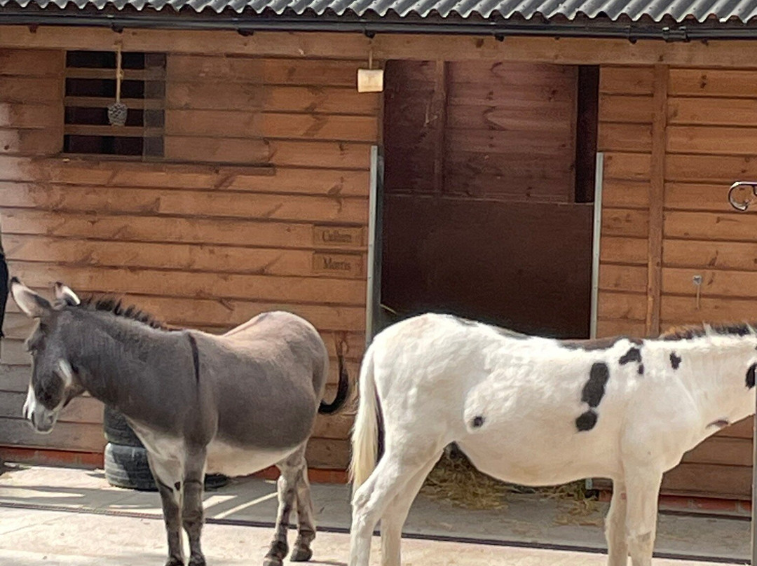 Hatchlands Park NT-吉尔福德必去景点
