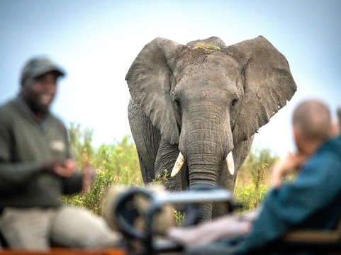 Cheap Safaris Namibia Windhoek