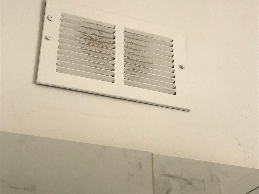 Warm Mineral Springs Motel主图