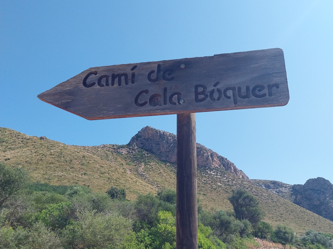 Cala Boquer-Pollenca必去景点