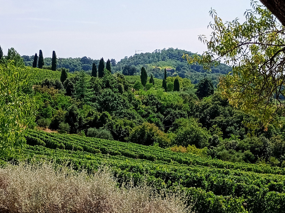 Il Casale Al Colle-蒙特格罗托泰梅必去景点