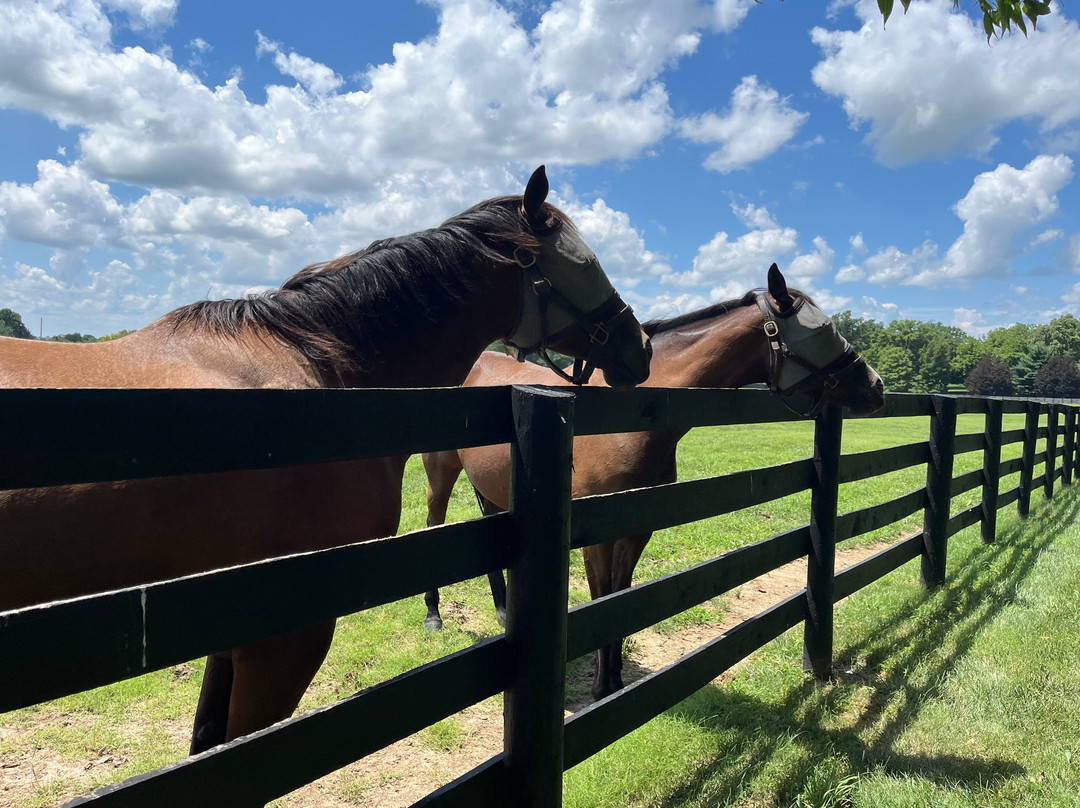 Godolphin-列克星敦必去景点