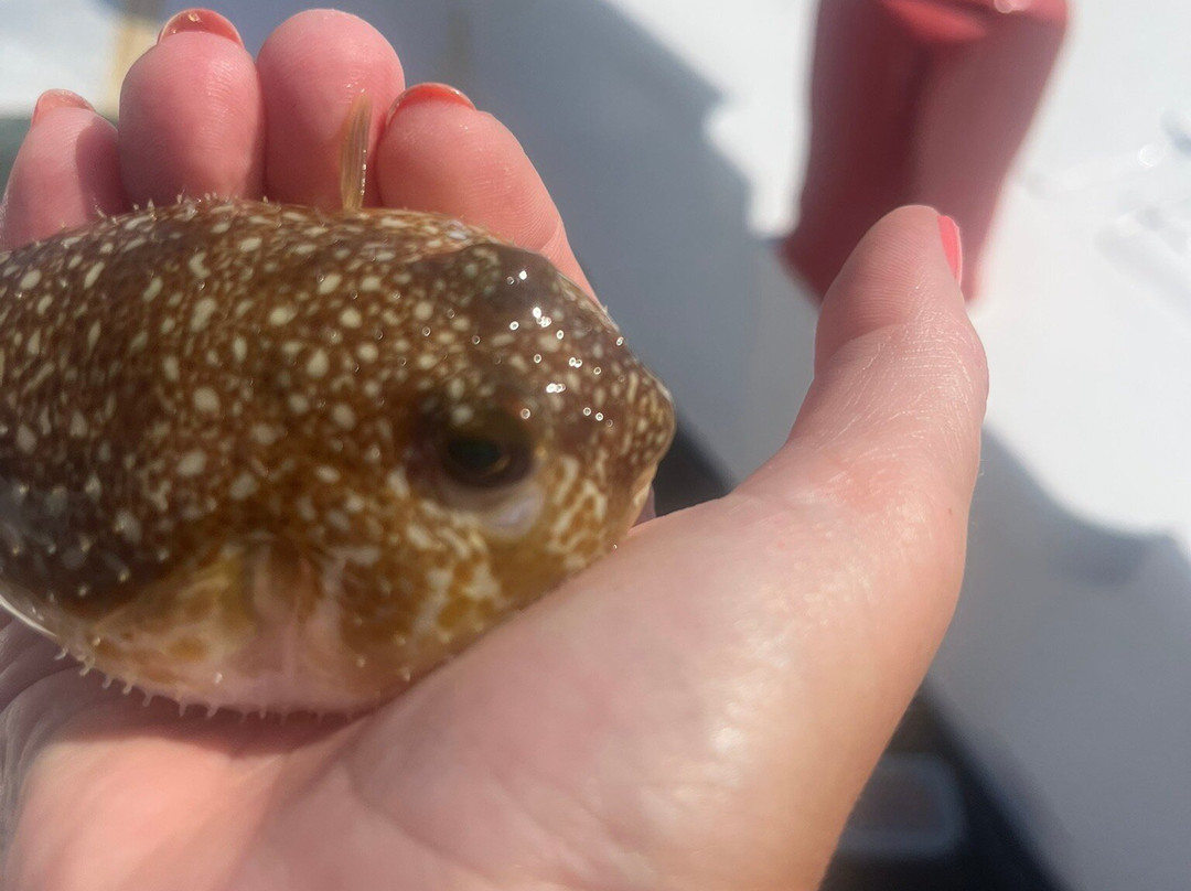 Let's Go Fishing -Chania Crete-Kolymbari必去景点